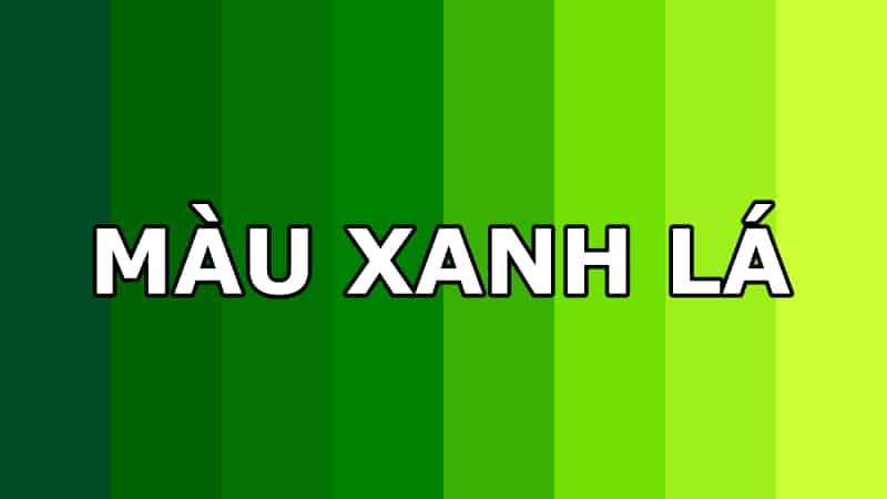 Sức hút của màu xanh lá trong giới làm đẹp