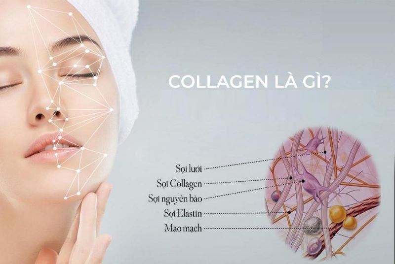 Làm thế nào để bổ sung collagen đúng cách cho làn da khỏe mạnh