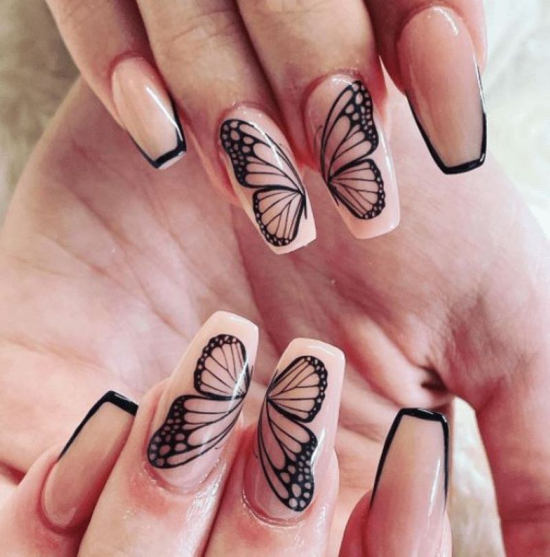 Vẽ nail bướm